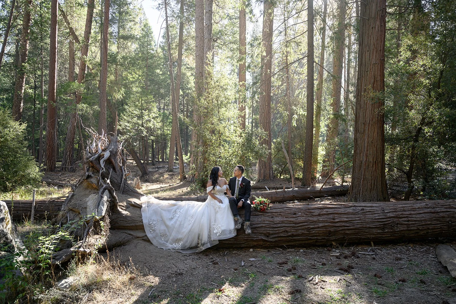 Yosemite Valley Elopement