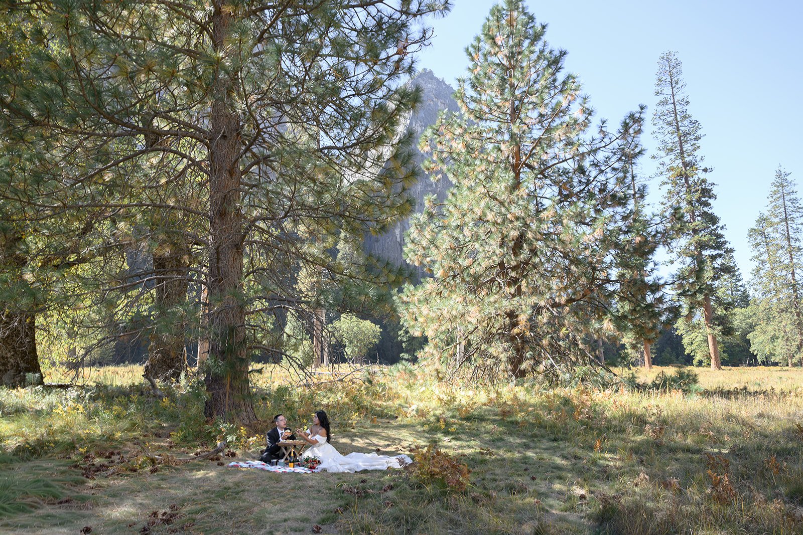 Yosemite Valley Elopement