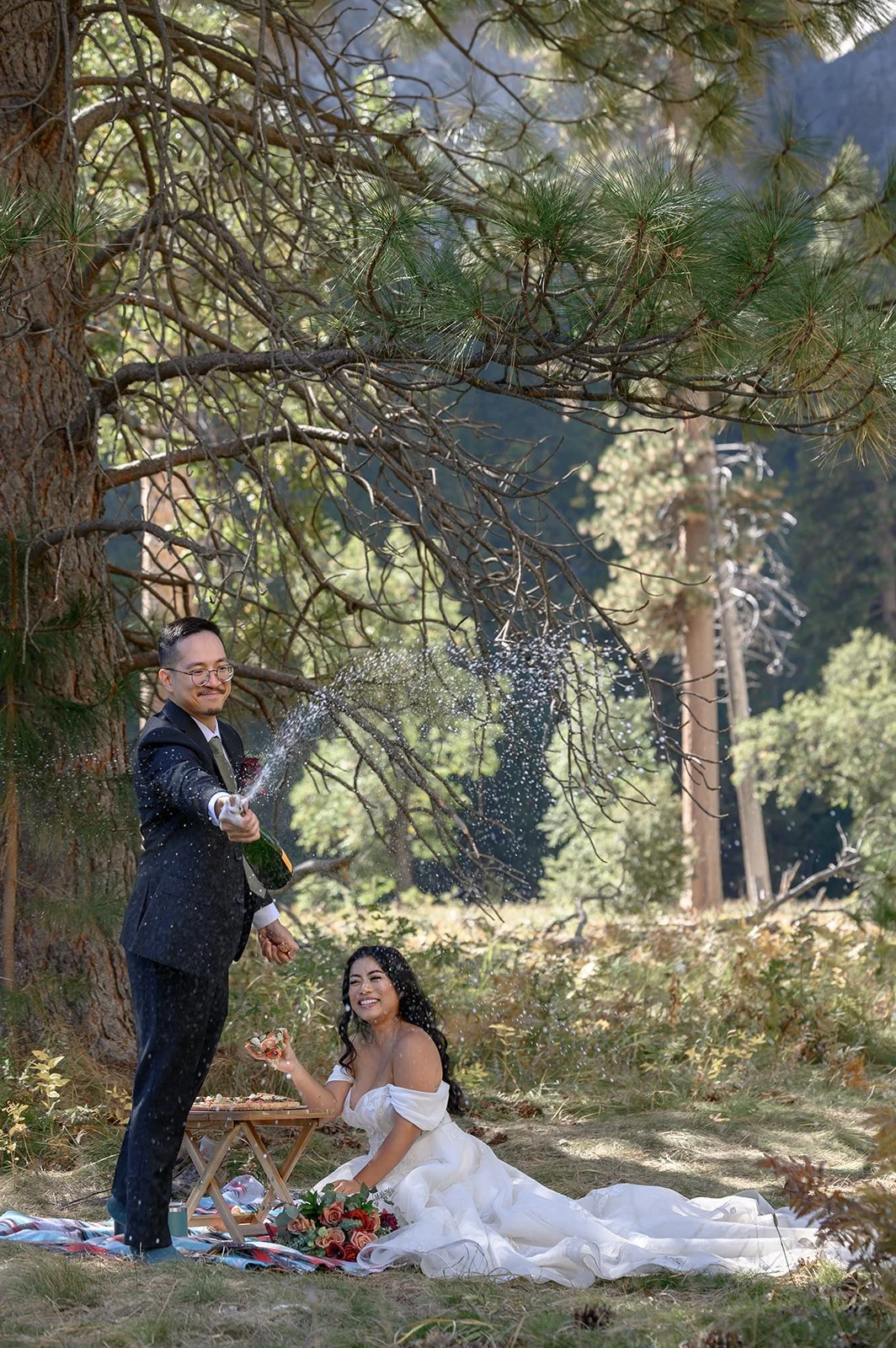 Yosemite Valley Elopement