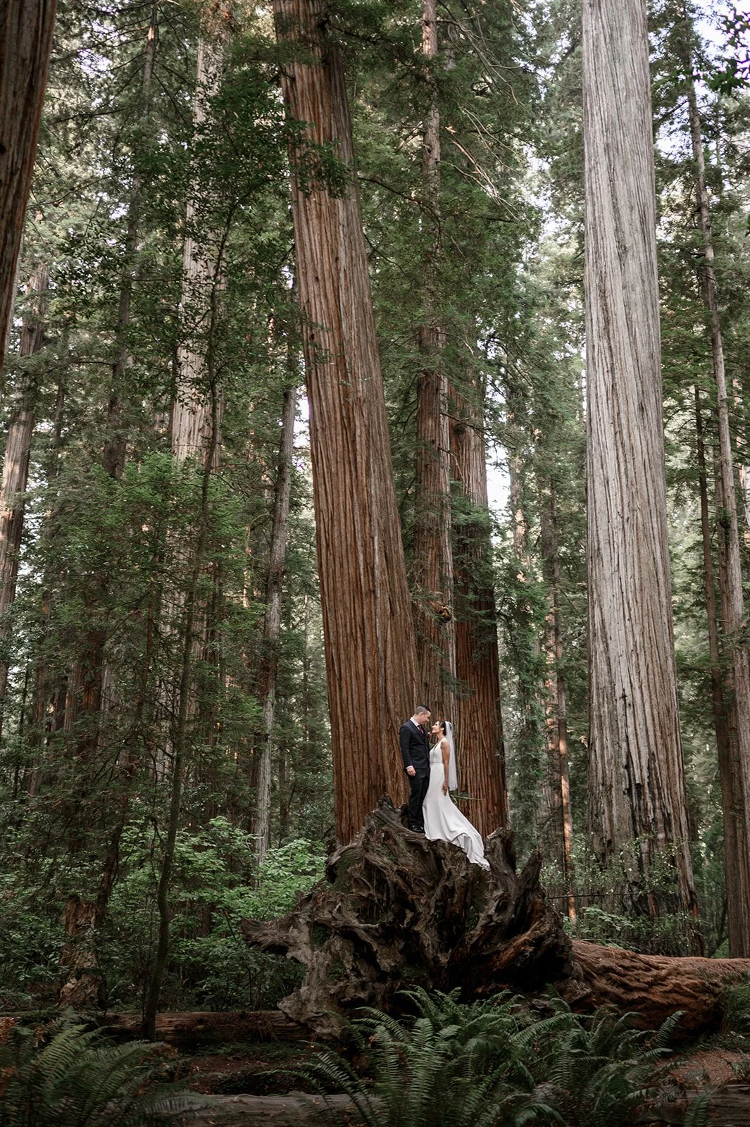 Southern Oregon Coastal Elopement