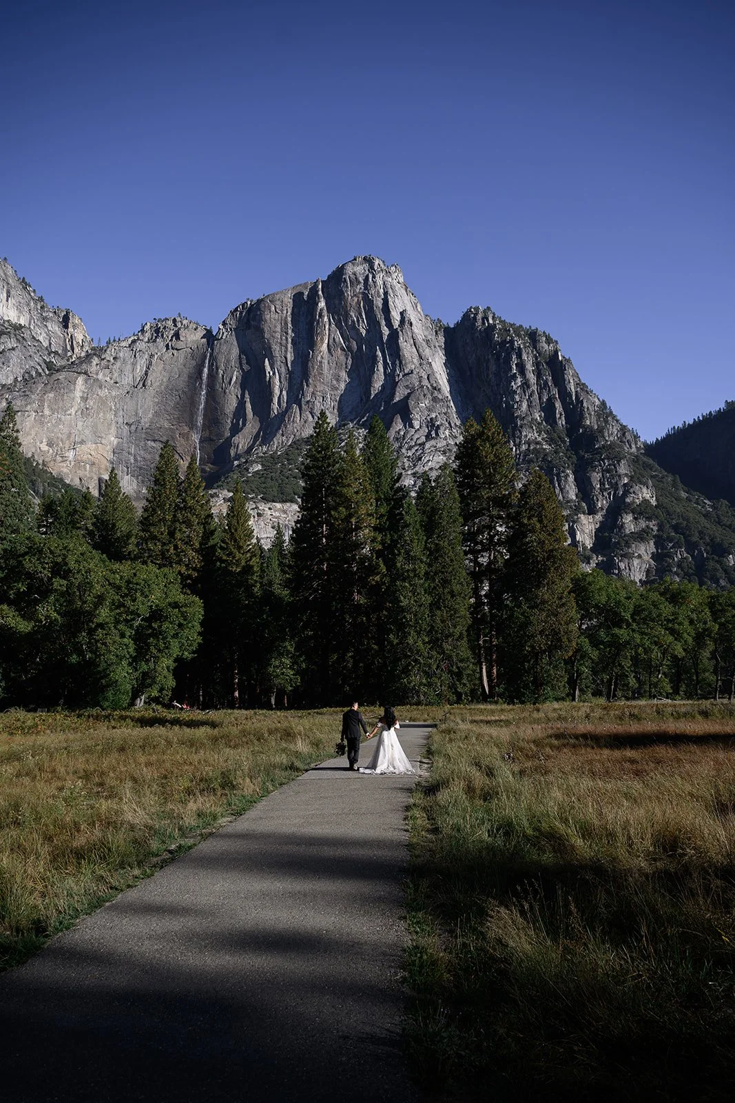 Yosemite Wedding