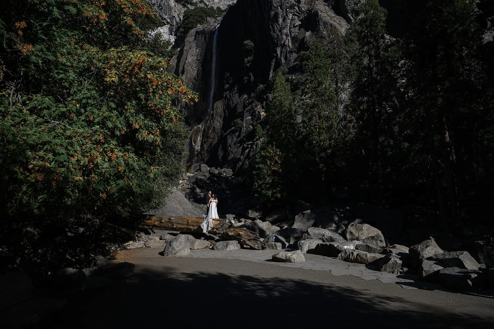 Yosemite Wedding