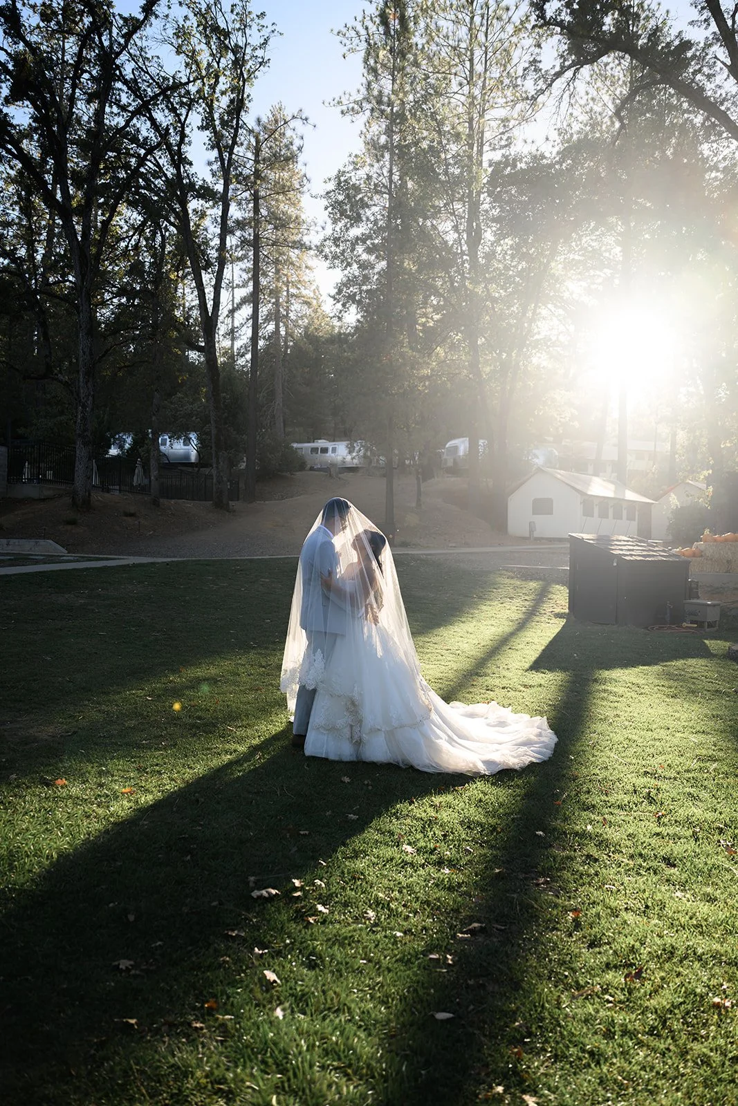 Yosemite Wedding