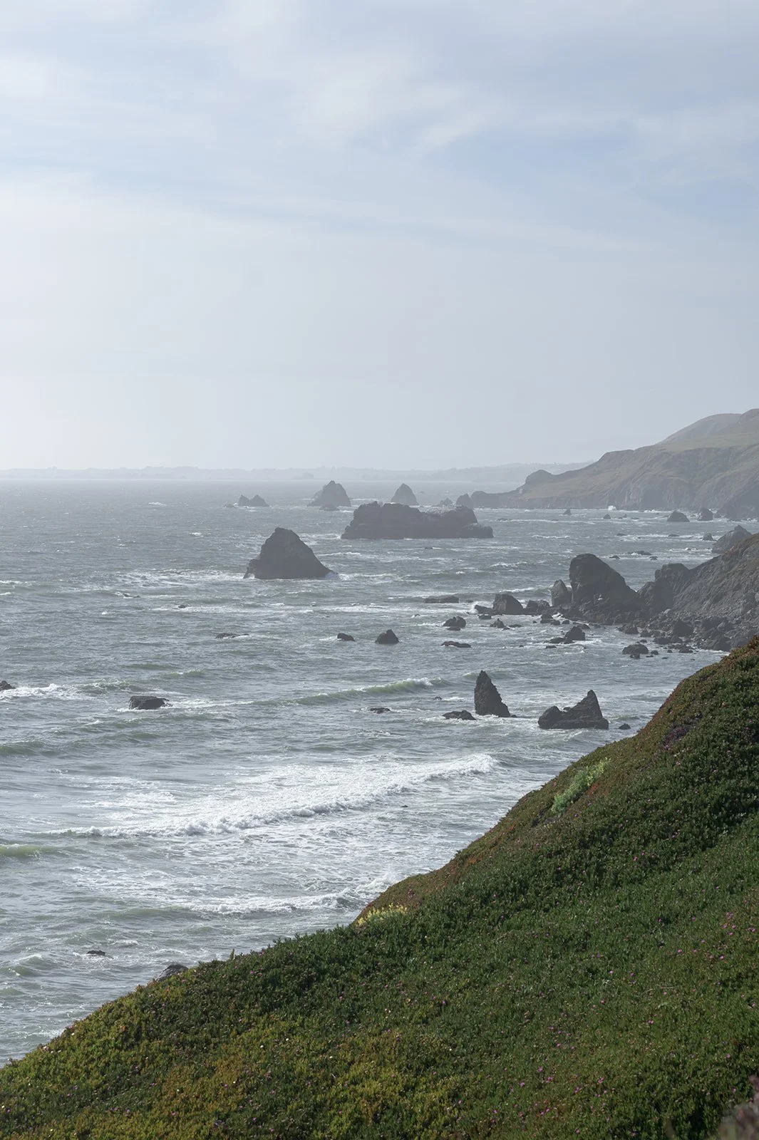 Microwedding in Dillon Beach