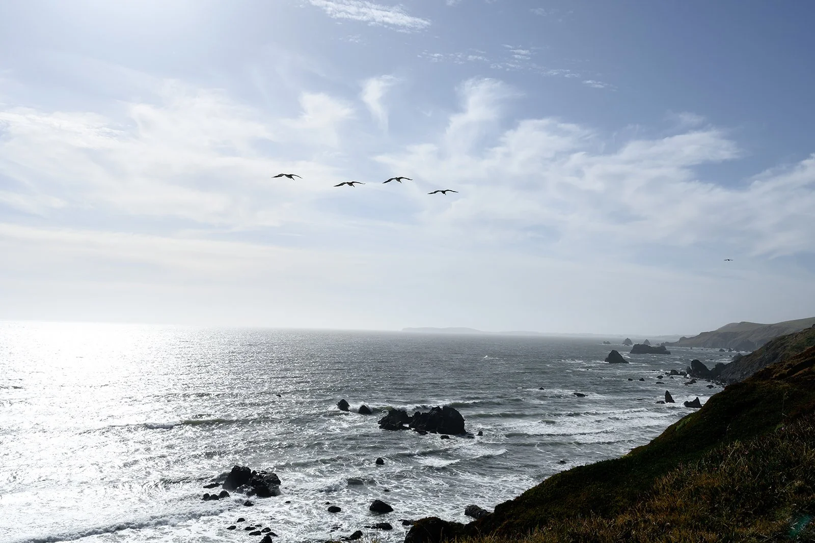 Microwedding in Dillon Beach