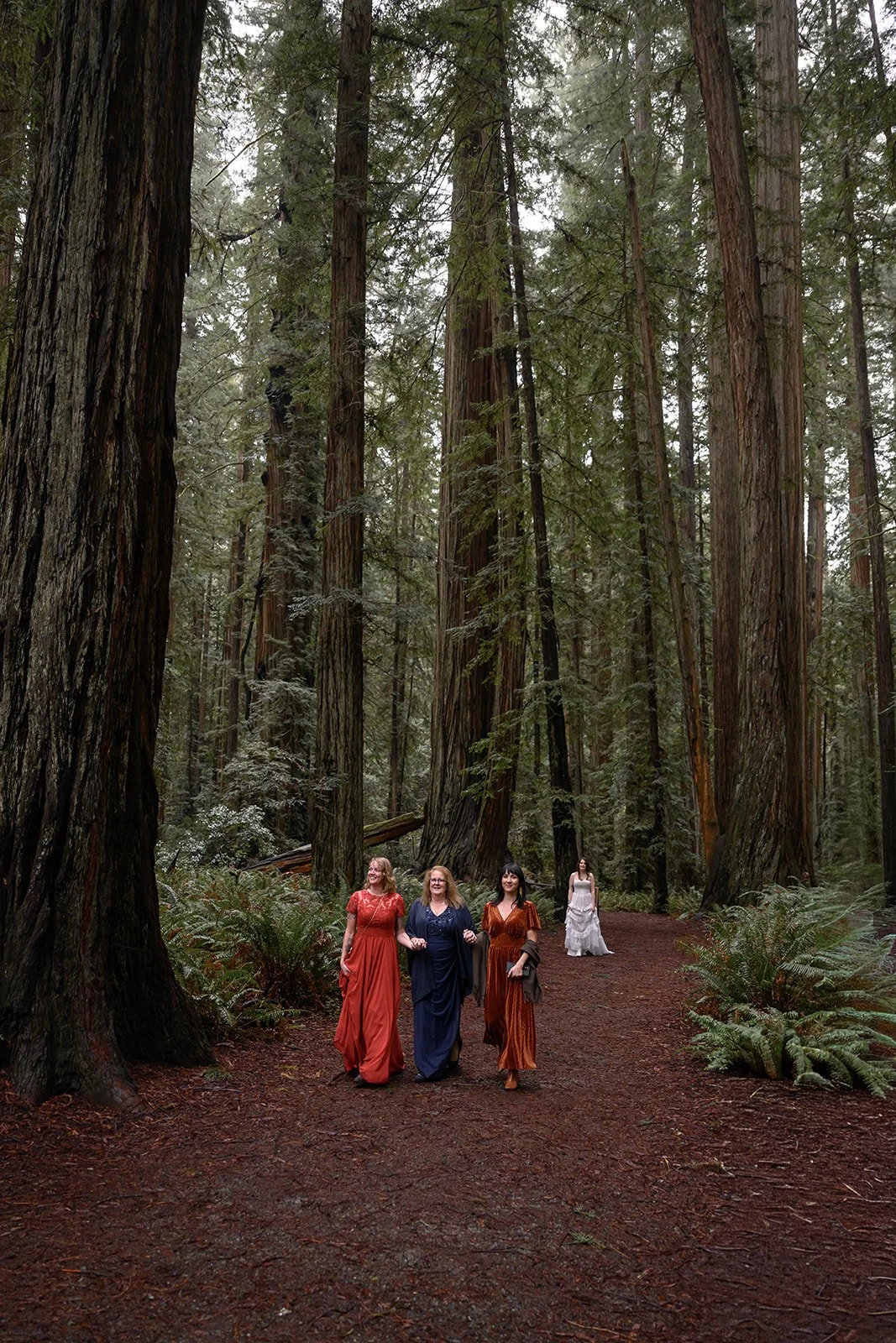 Forest Wedding