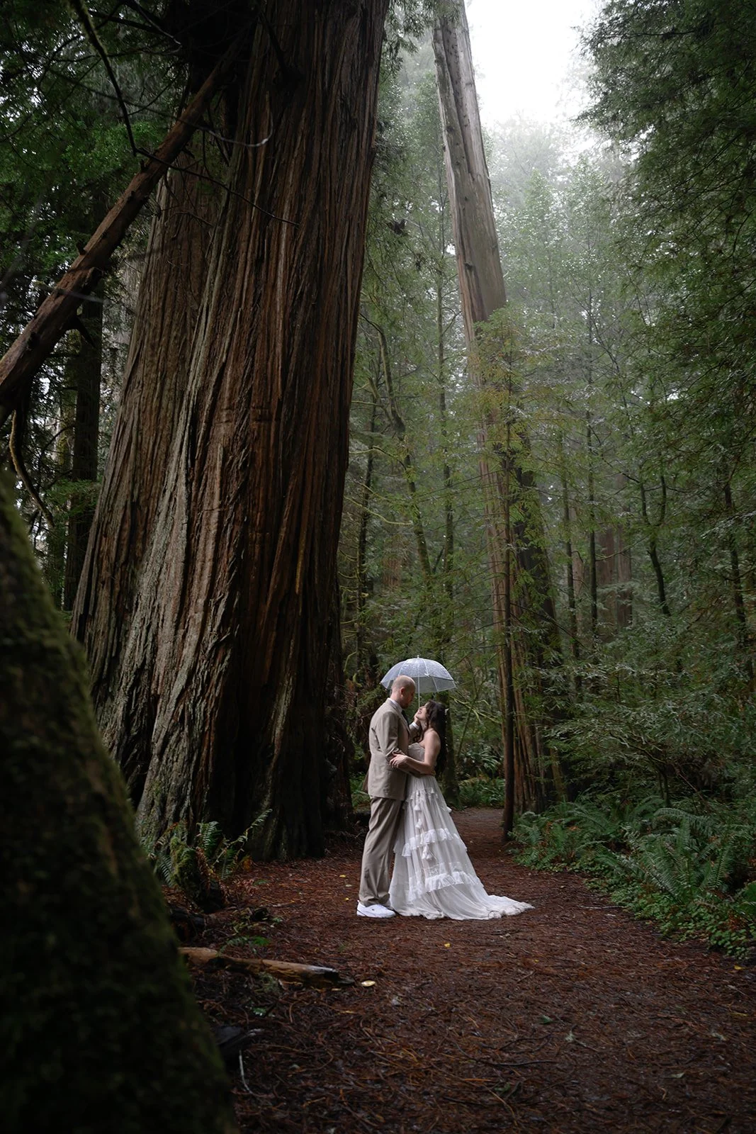 Moody Forest Wedding