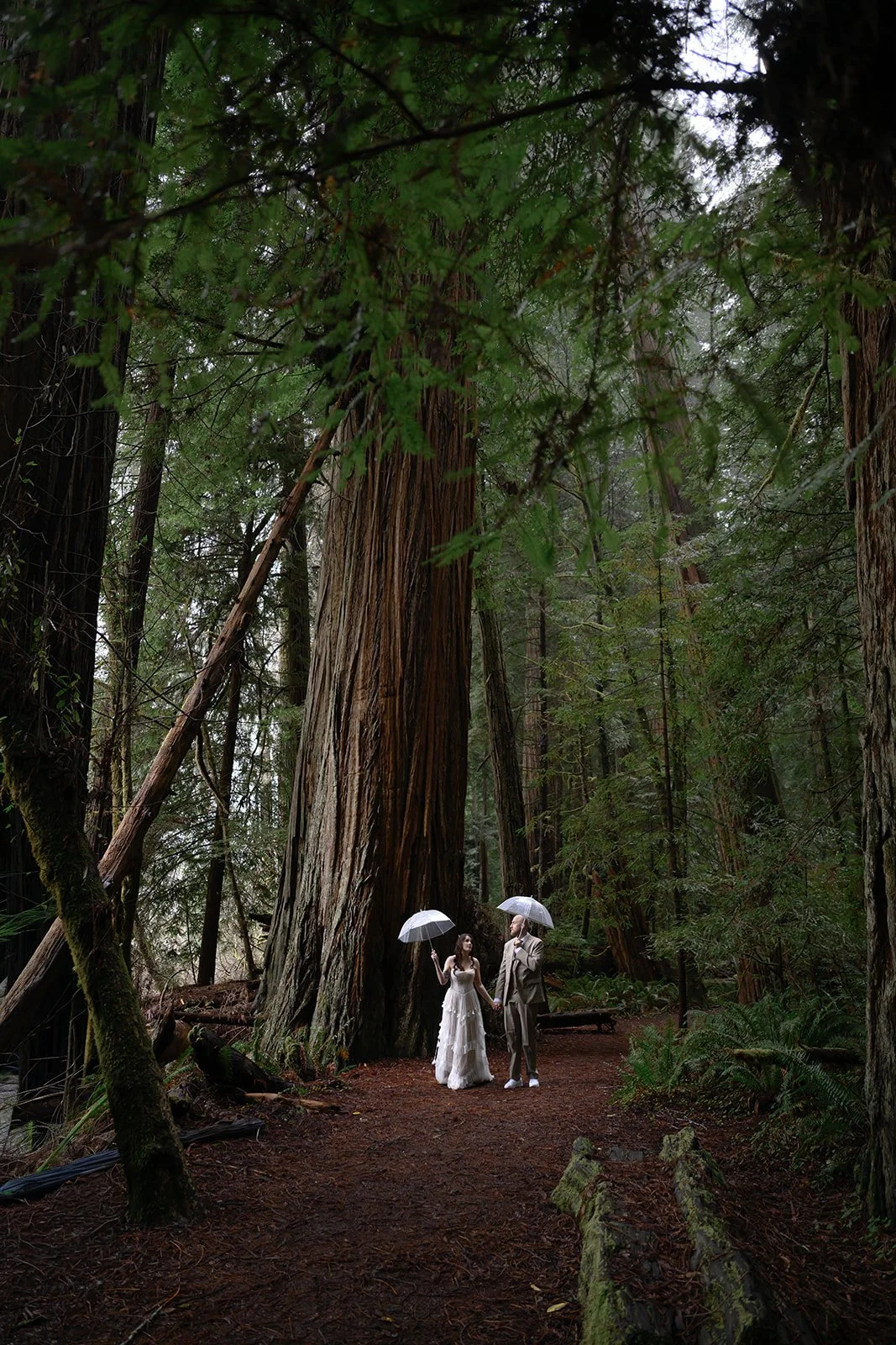 Moody Forest Wedding