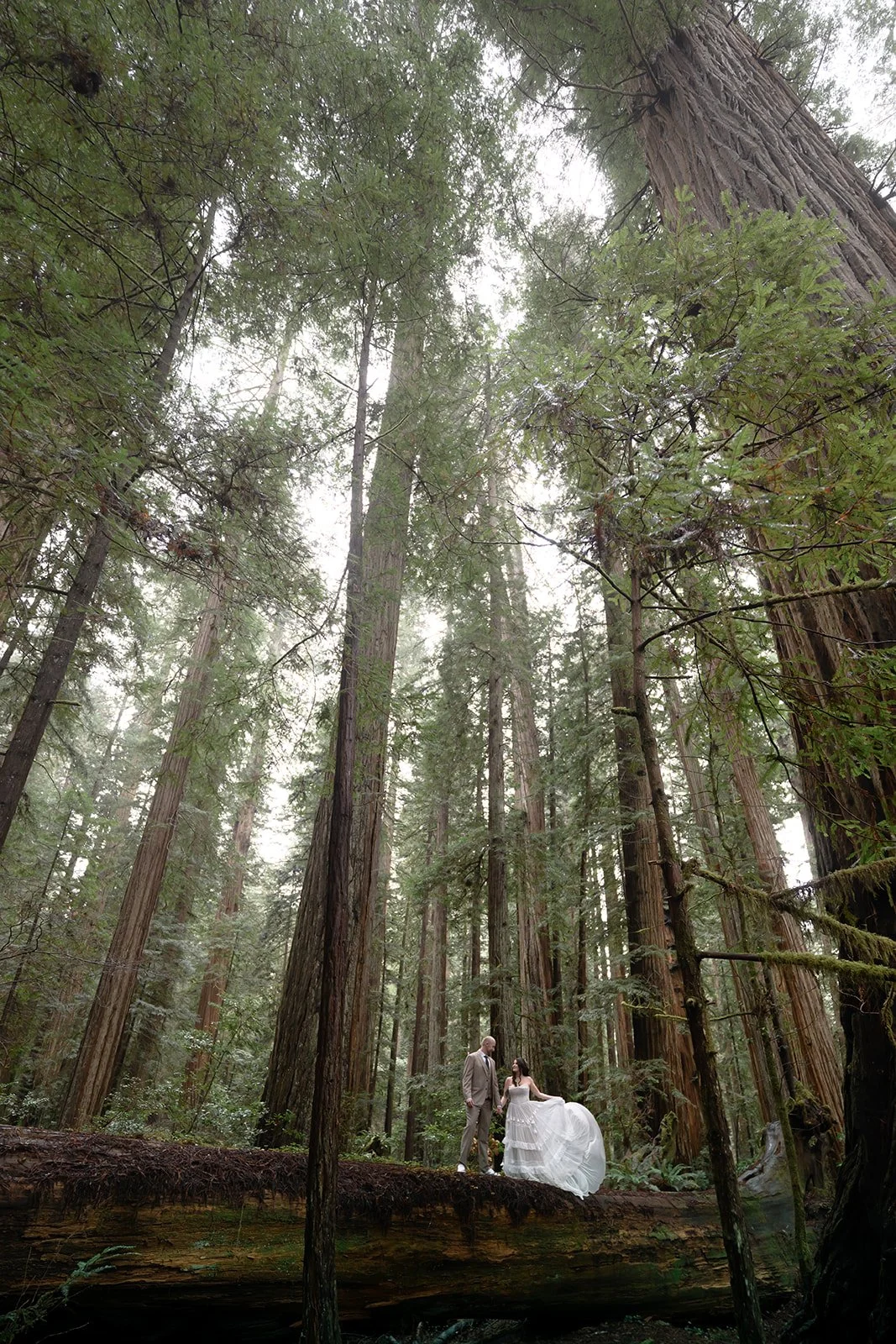 Moody Forest Wedding