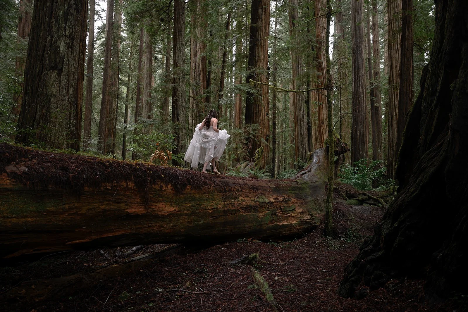 Moody Forest Wedding