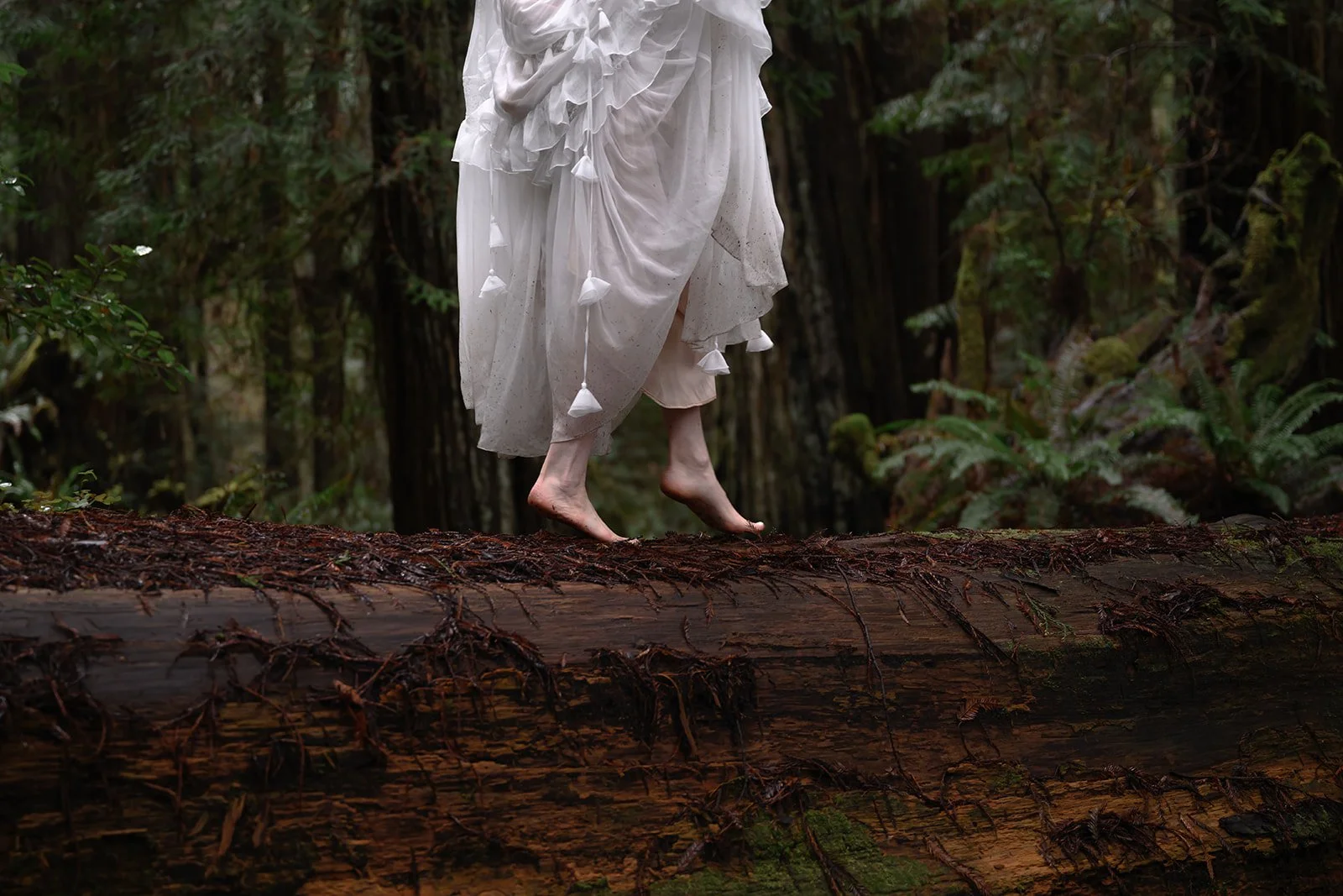 Moody Forest Wedding