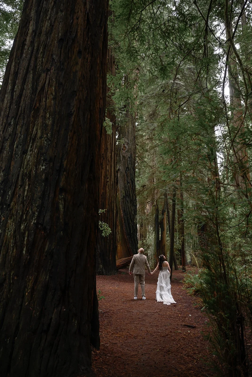 Moody Forest Wedding