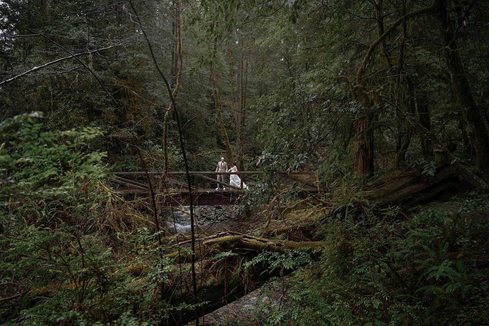 Moody Forest Wedding