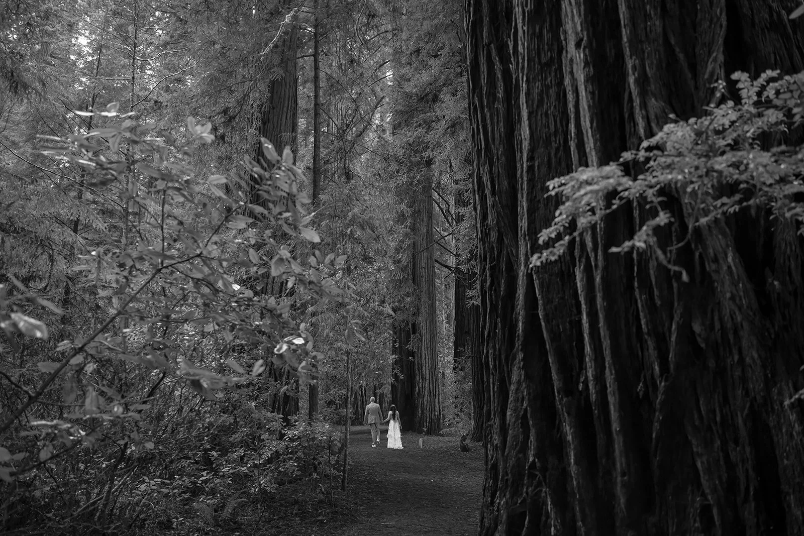 Moody Forest Wedding