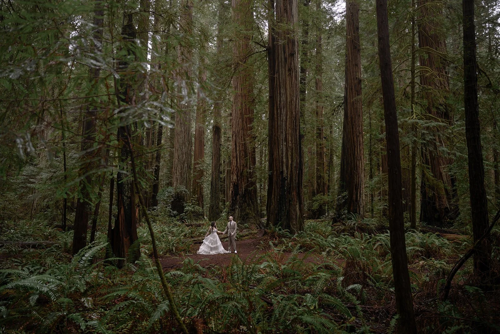 Moody Forest Wedding