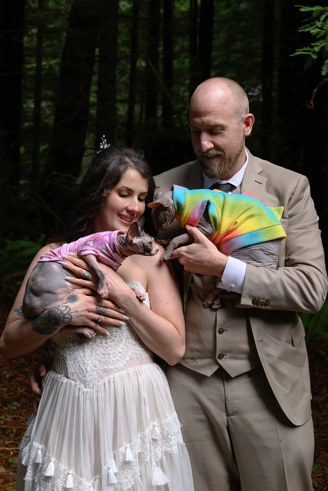 Wedding photos with cats