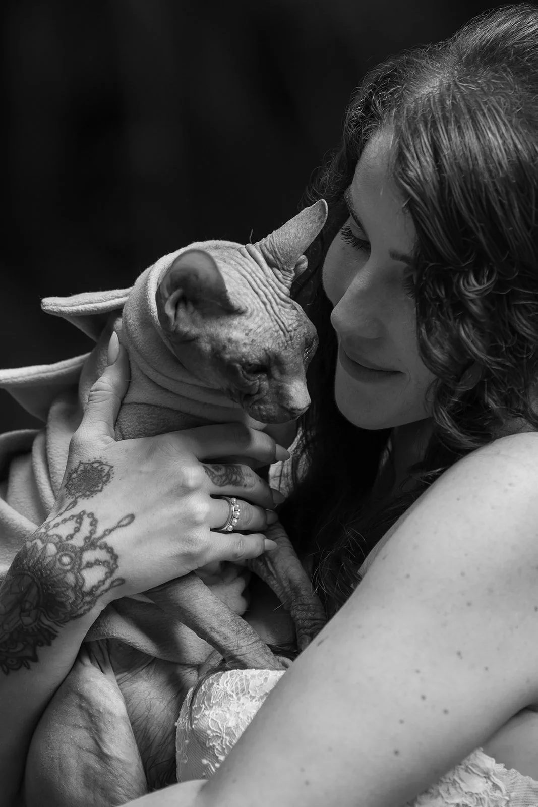 Wedding photos with cats