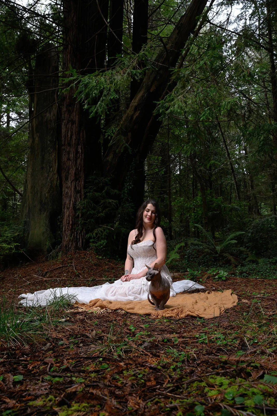 Wedding photos with cats