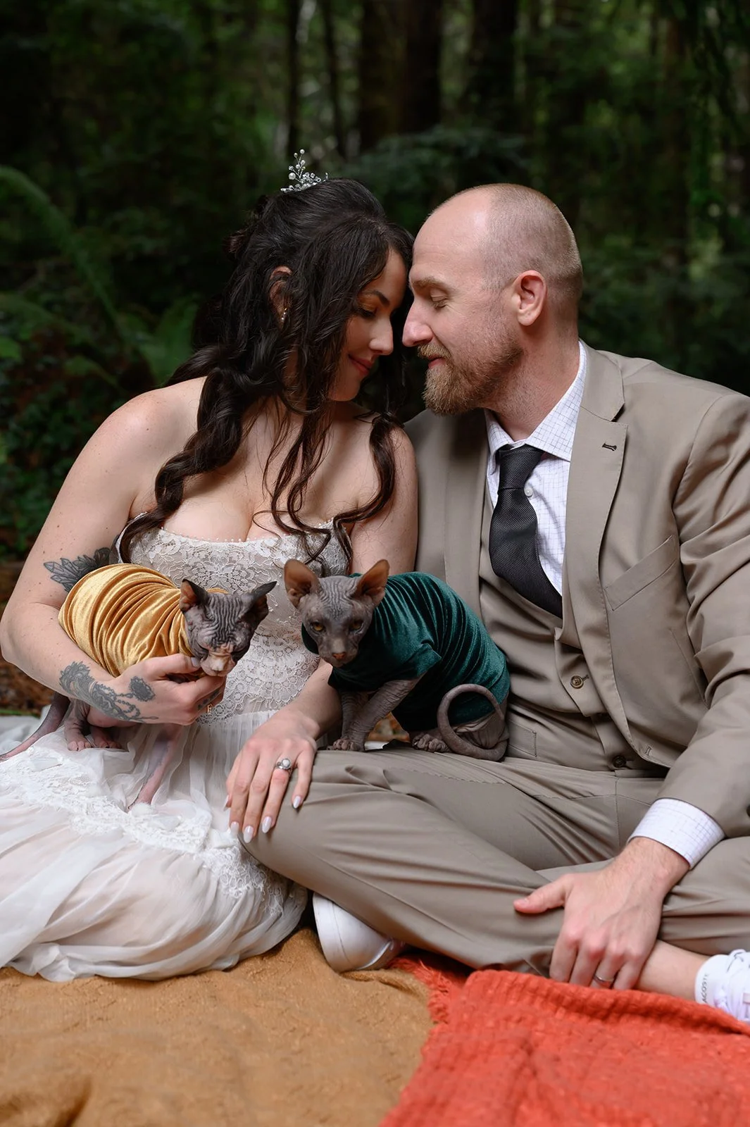 Wedding photos with cats