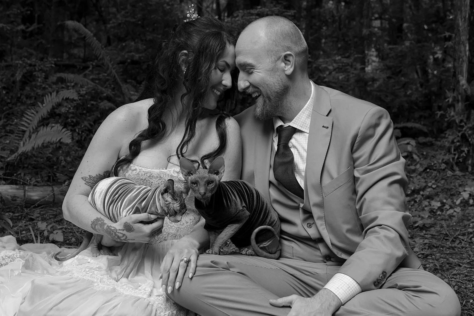 Wedding photos with cats