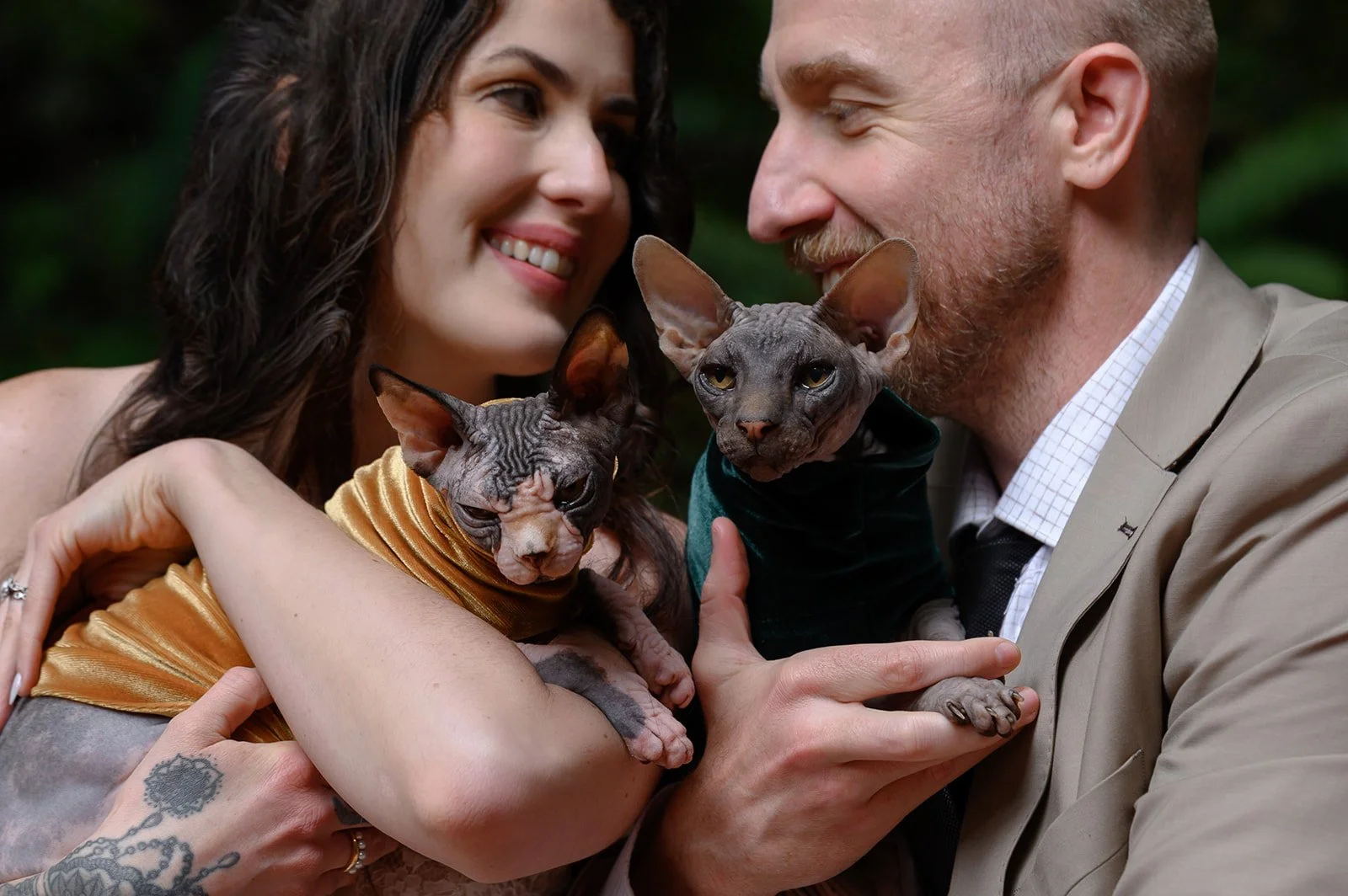 Wedding photos with cats