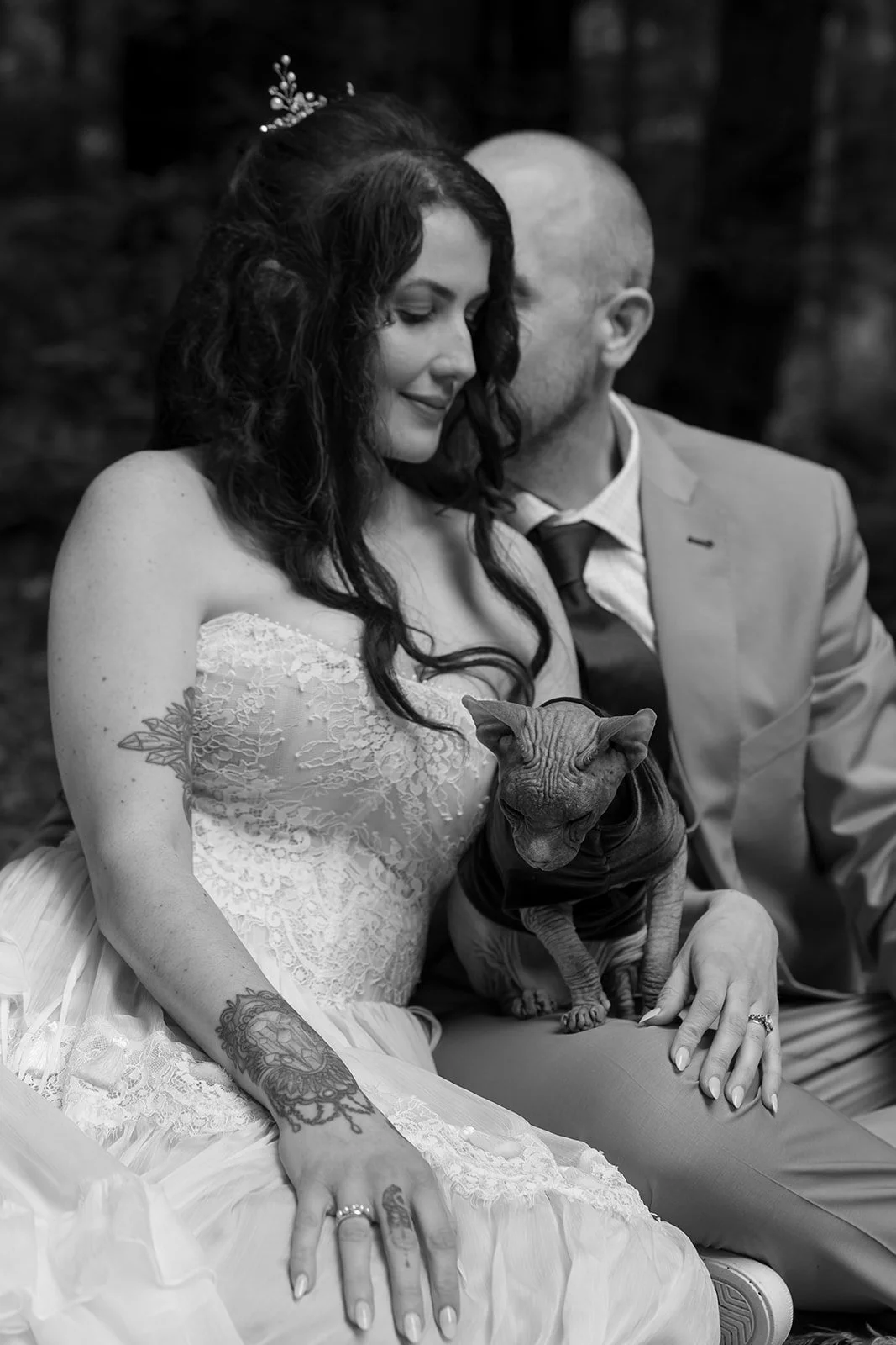 Wedding photos with cats