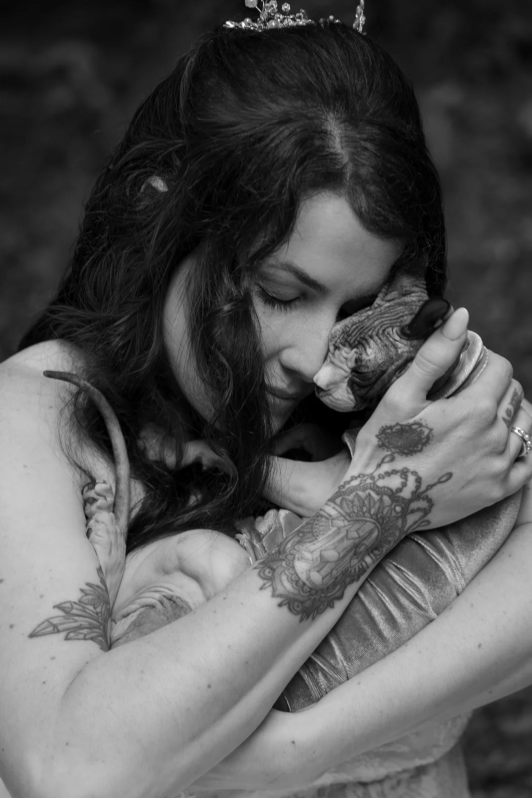 Wedding photos with cats