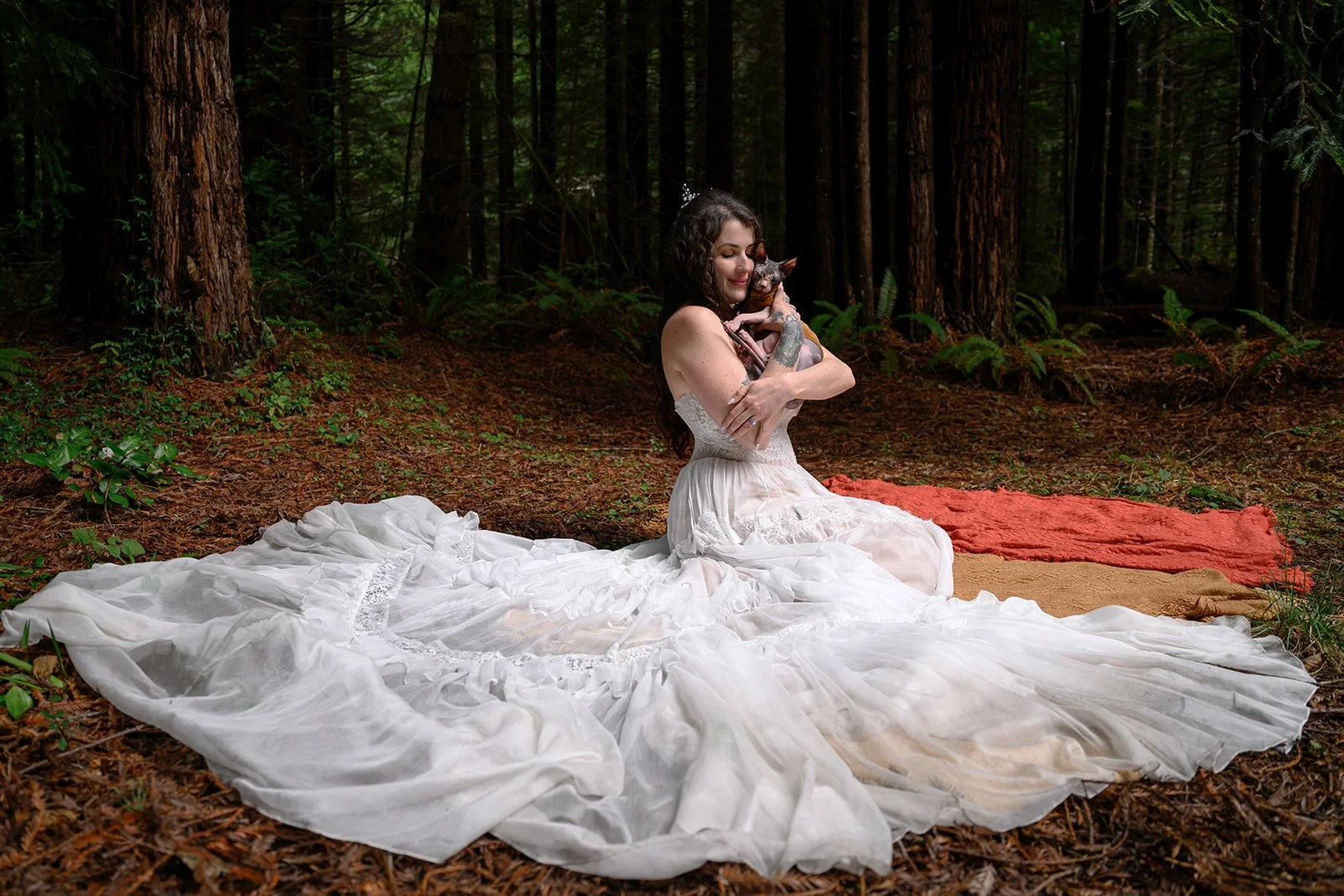 Wedding photos with cats