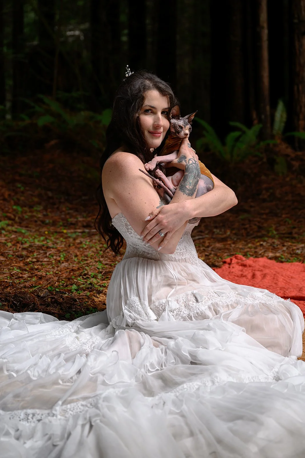 Wedding photos with cats