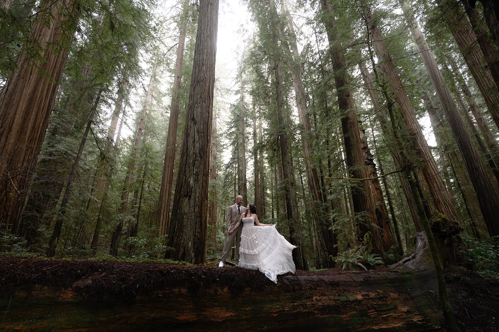 A Moody Redwood Micro Wedding at Jedediah Smith Redwoods