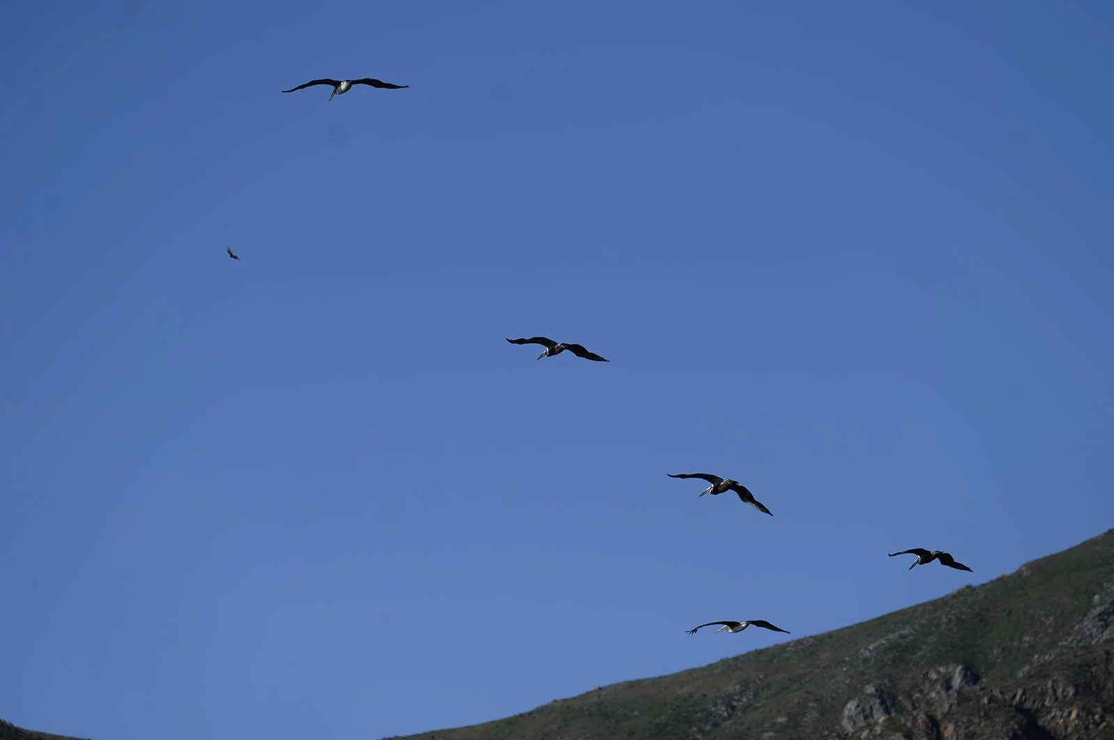 Big-Sur-22.jpg