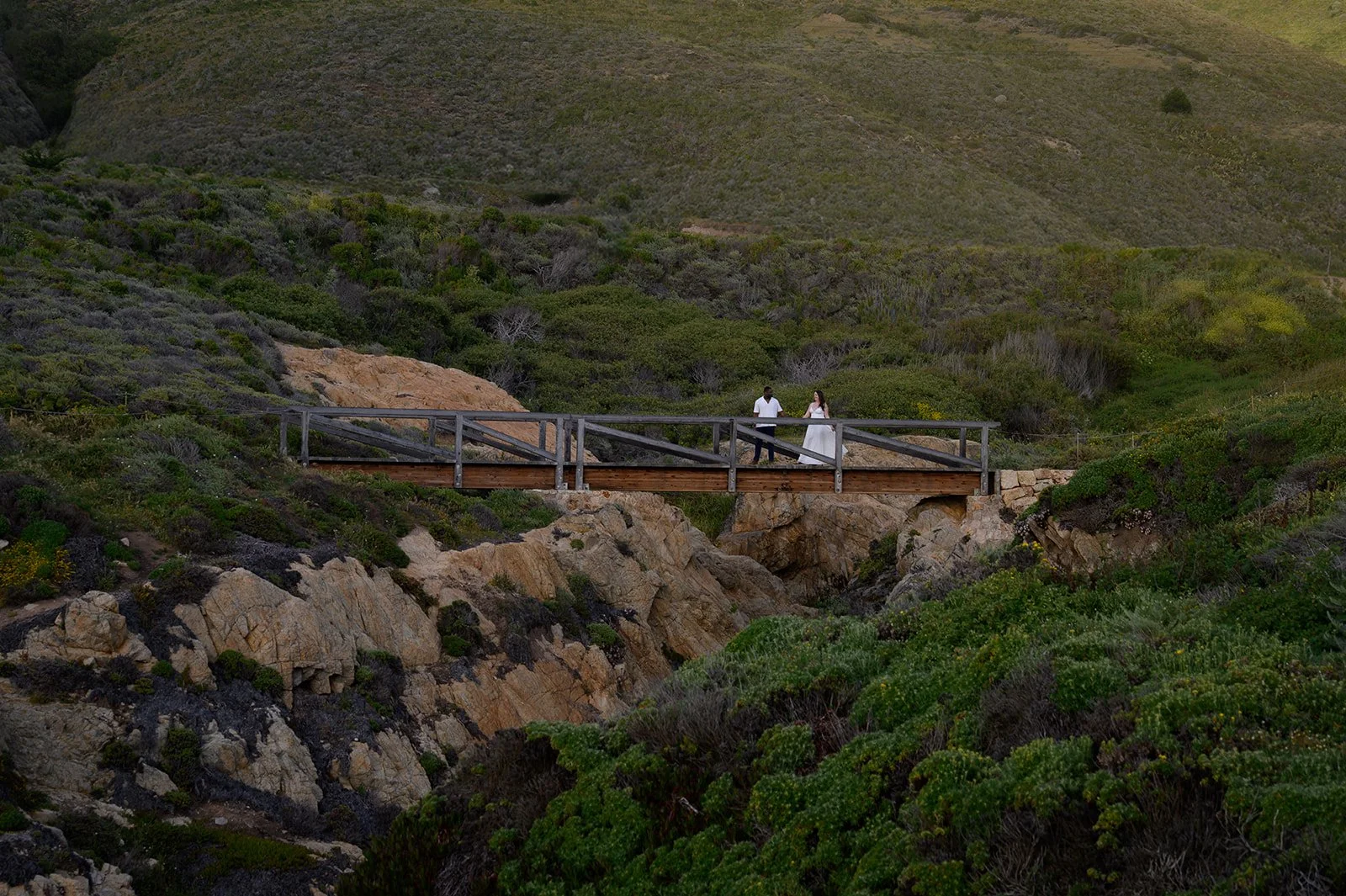 Big-Sur-94.jpg