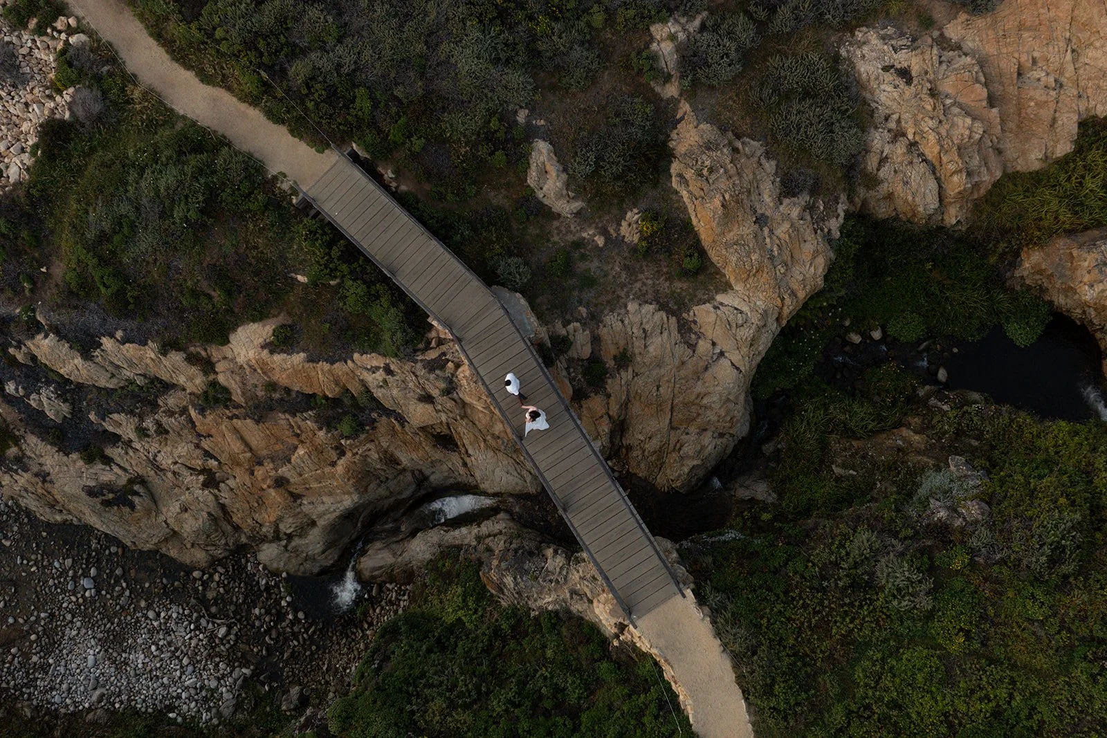 Big-Sur-103.jpg