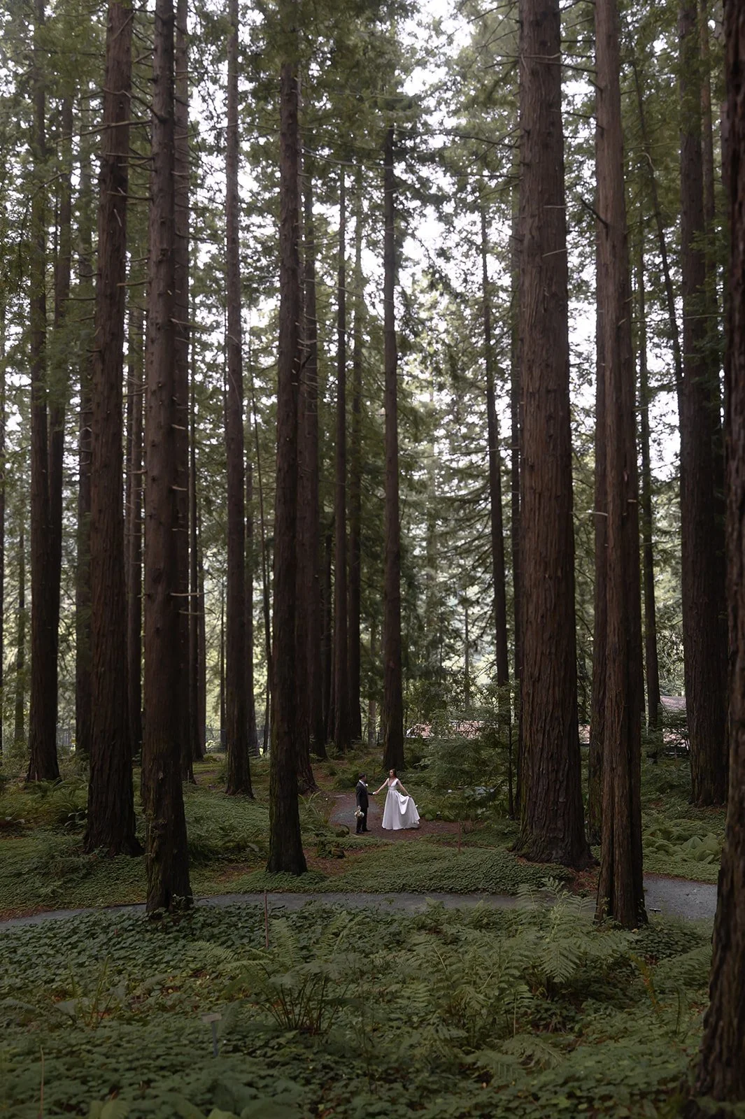 Bride-Groom-Redwoods-63.jpg