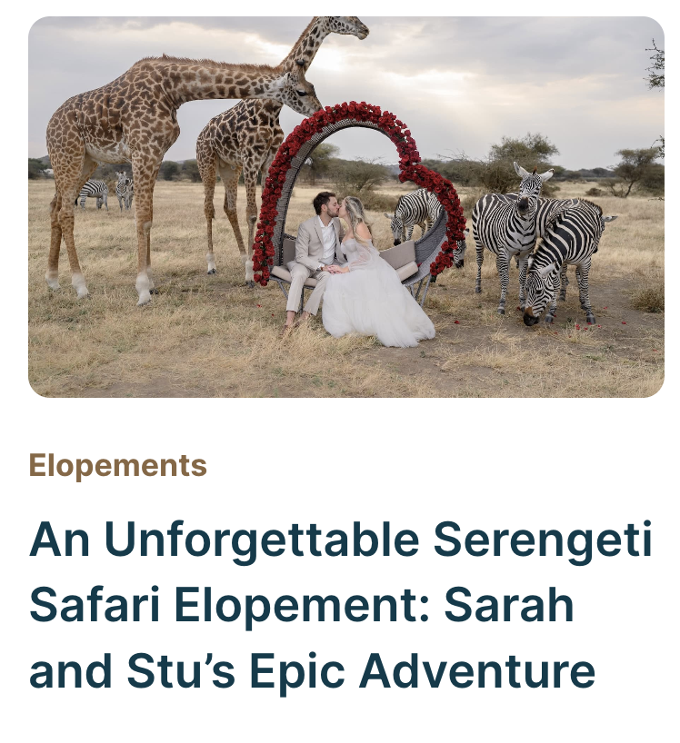 Featured blog on wandering weddings
