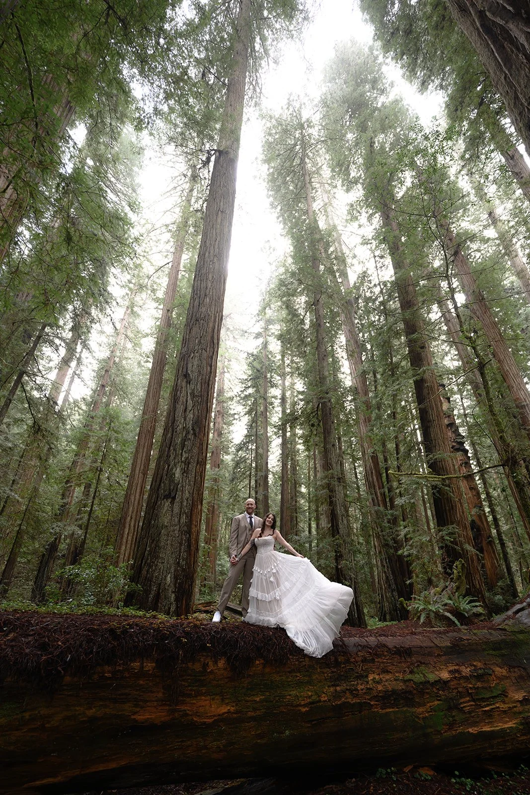 Forest-53.jpg
