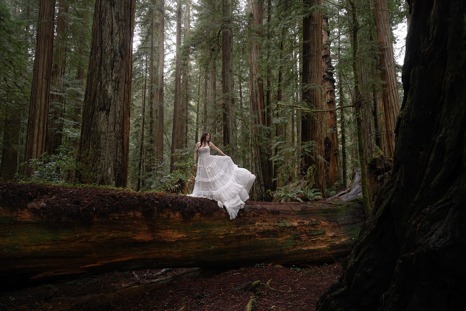 Forest-66.jpg