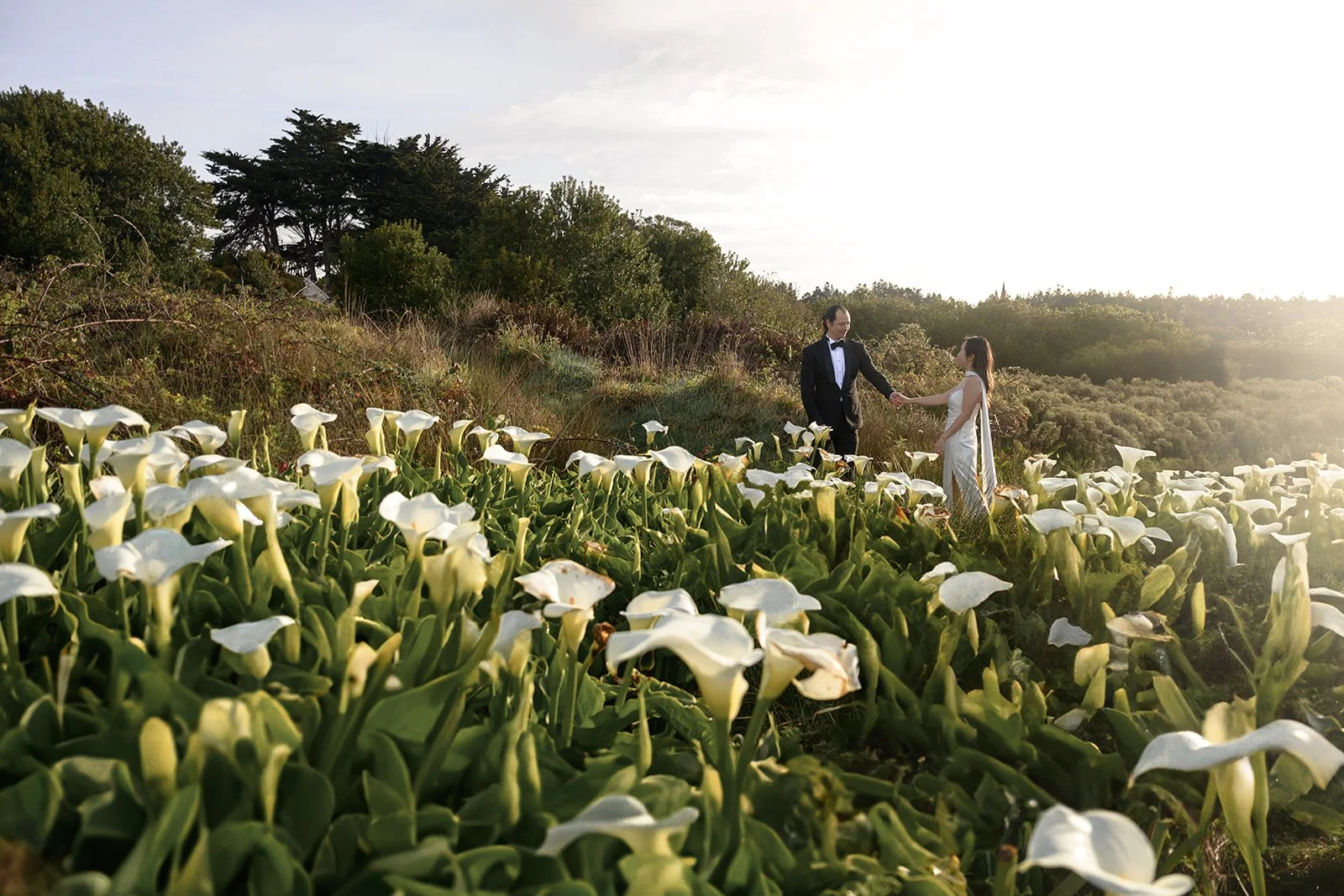 A man in a tuxedo and a woman in a wedding dress holding hands in a field of white calla lilies at sunset in Mendocino.