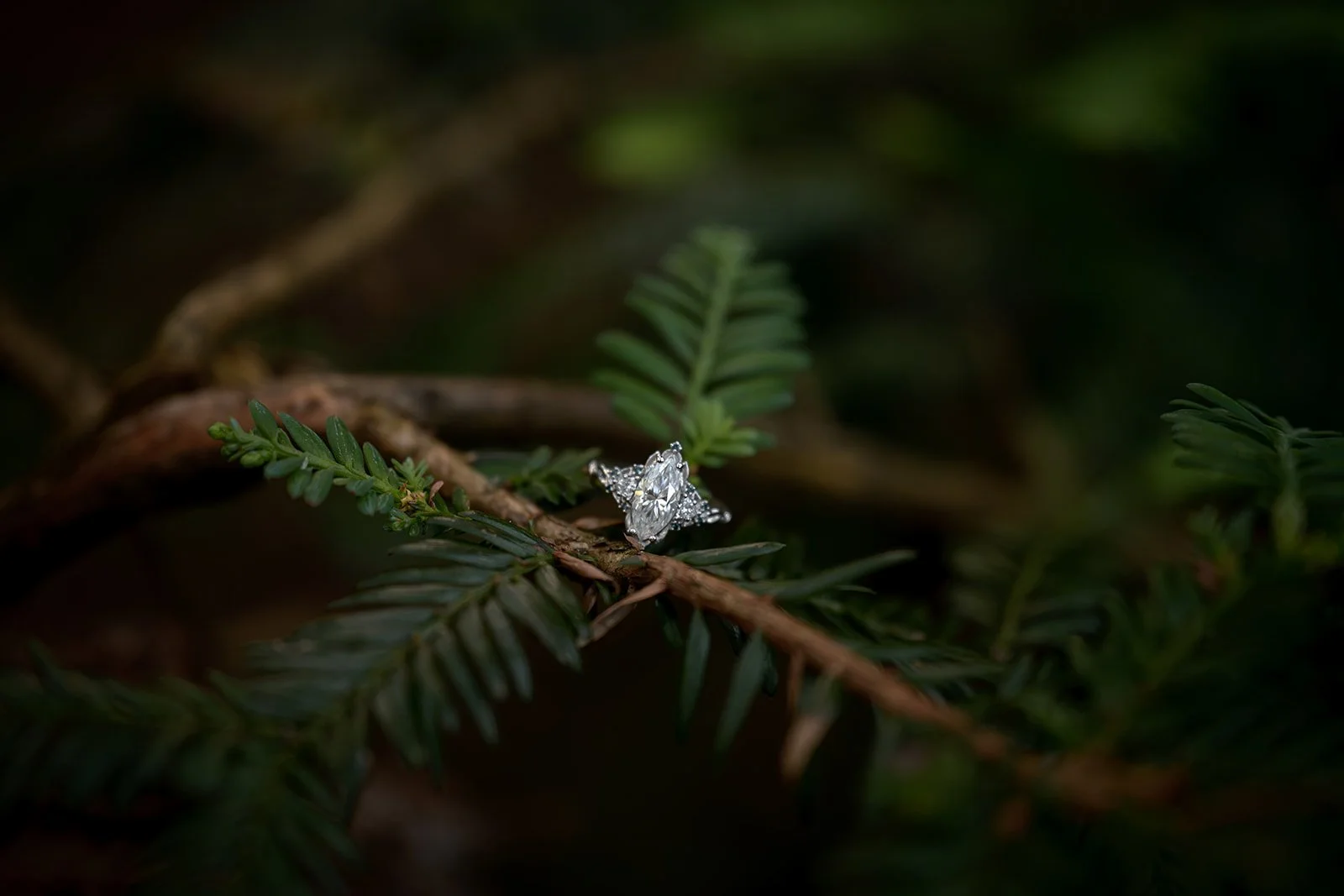 Proposal-02.jpg