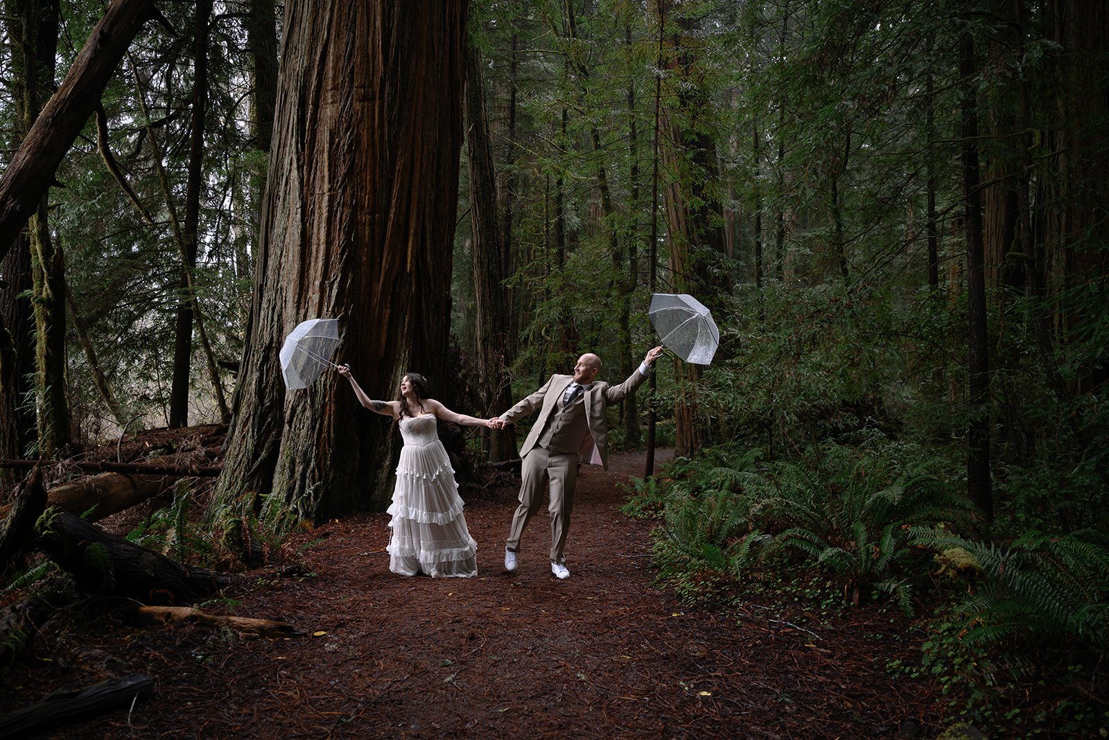 Forest-22.jpg