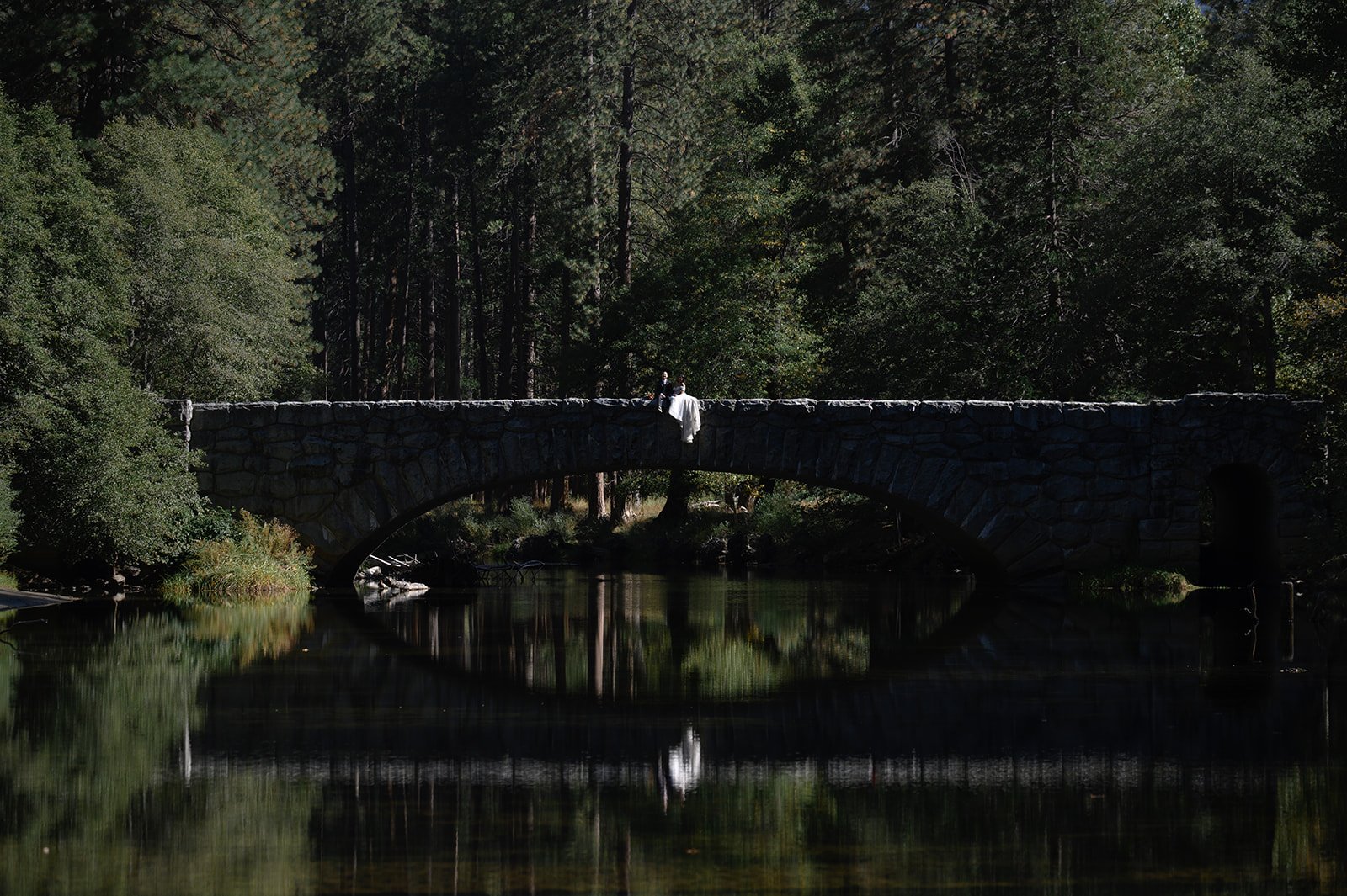 Wedding in Yosemite National Park