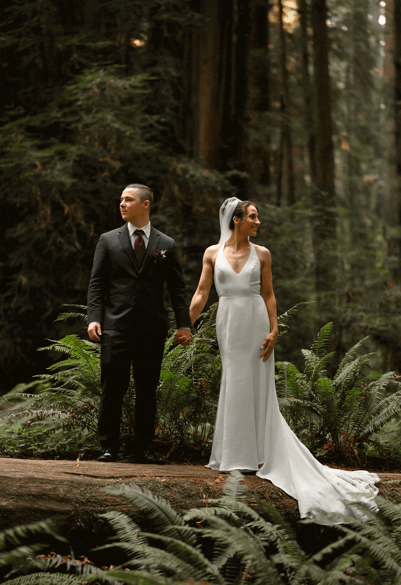 Redwood Wedding
