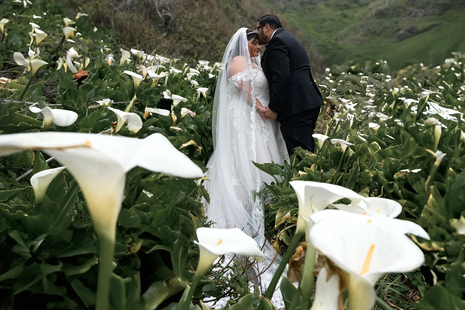 Wedding Photos in Big Sur