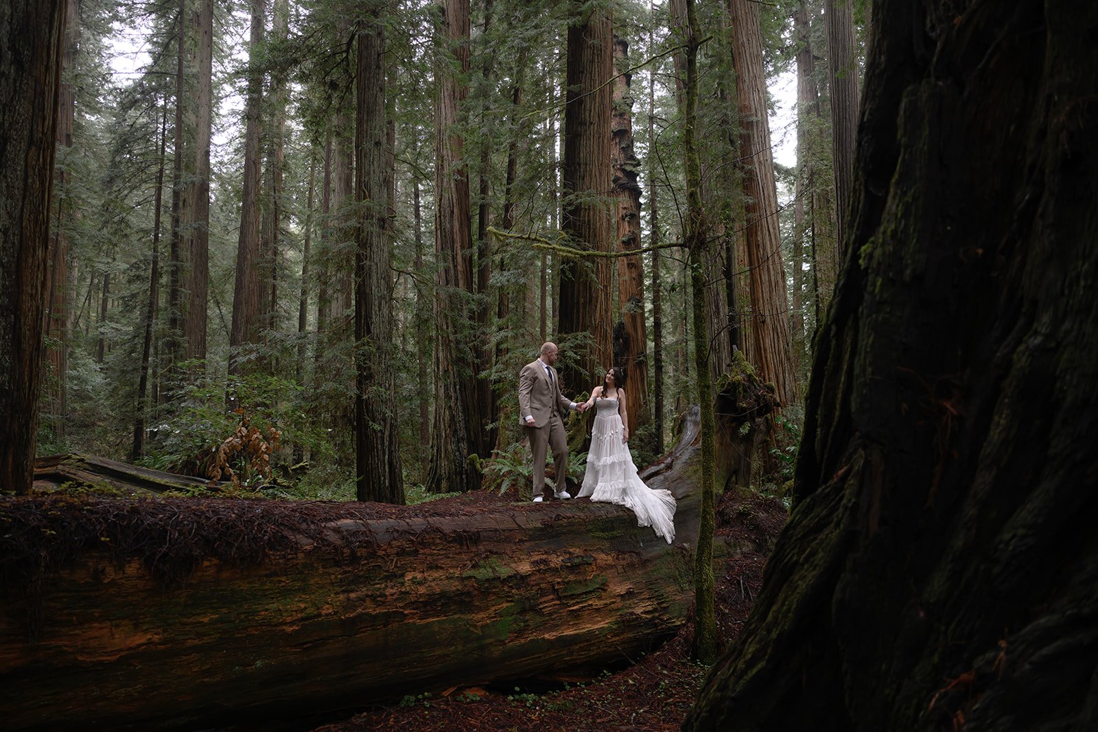 Forest-39.jpg