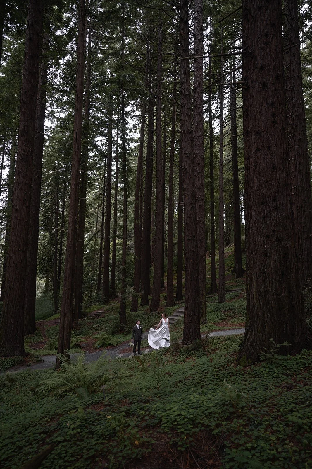 Bride-Groom-Redwoods-85.jpg