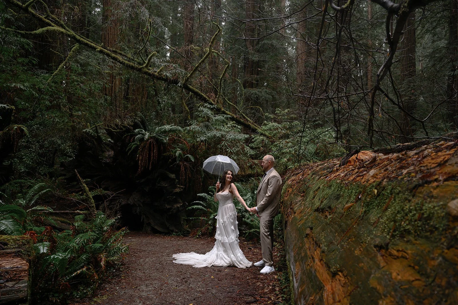 Forest-94.jpg