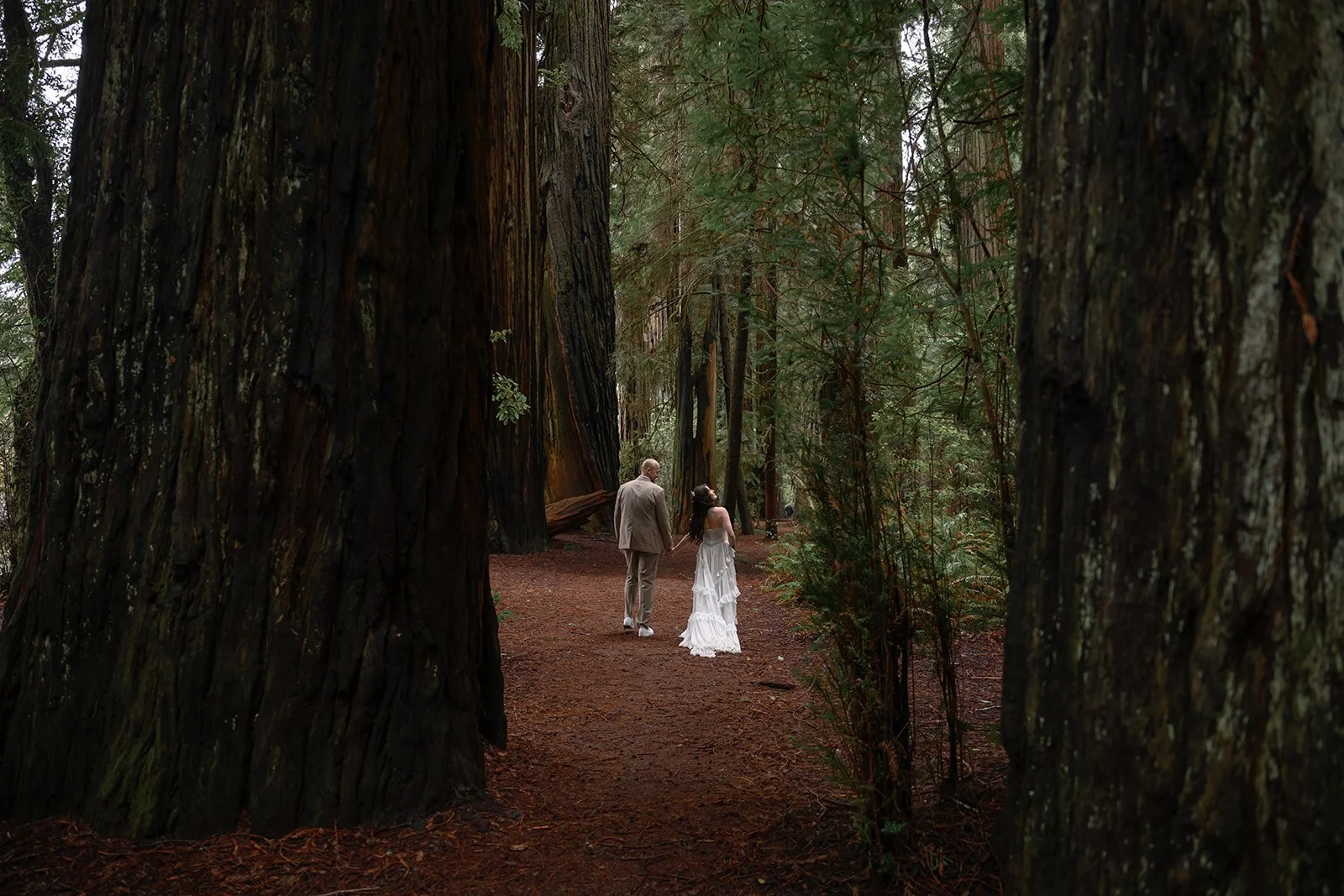 Forest-114.jpg