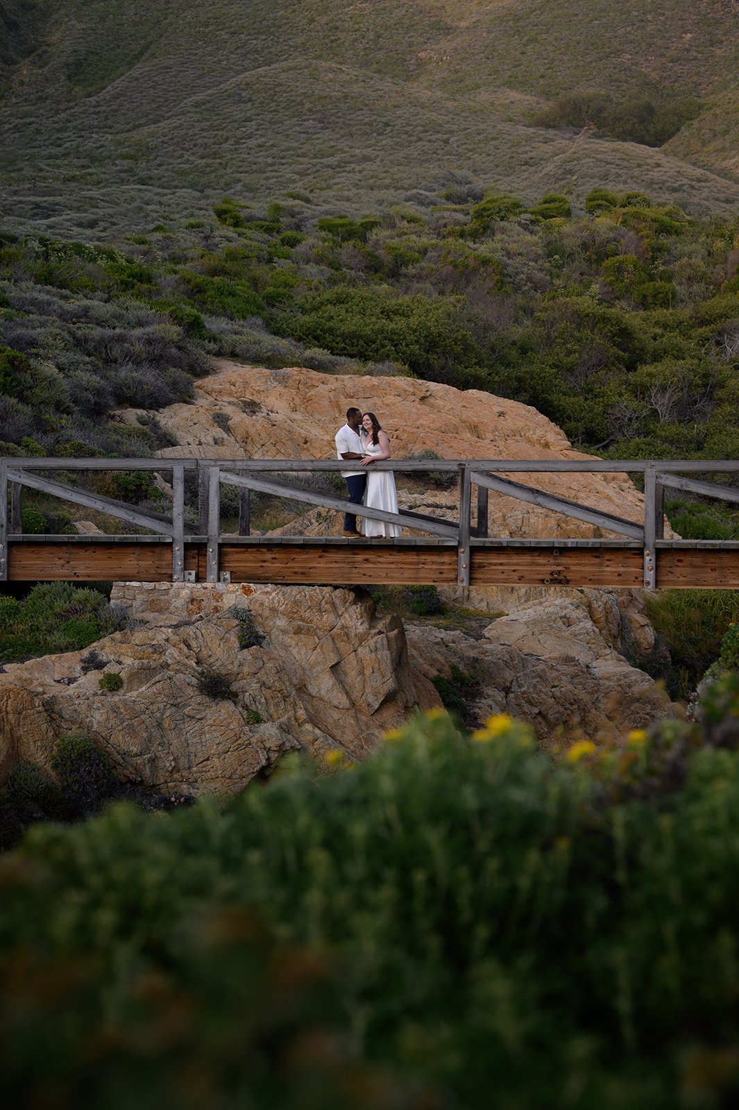 Big-Sur-99.jpg