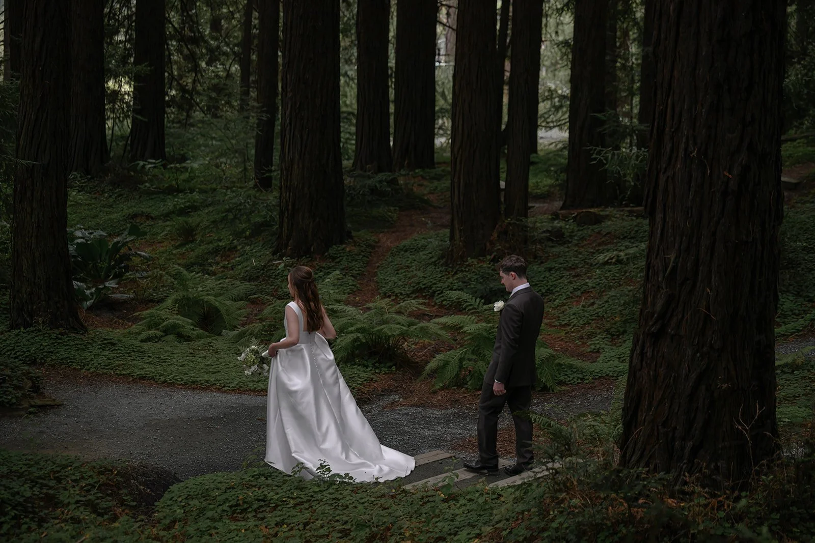 Bride-Groom-Redwoods-56.jpg