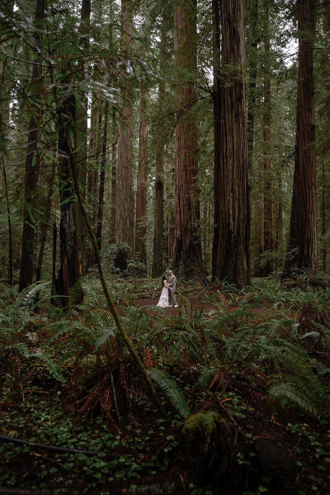 Forest-193.jpg